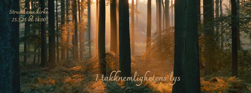 i-takknemlighetens-lys-facebook-facebook-forside